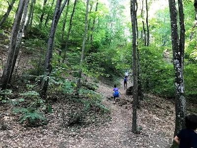 KAĞITHANE VARDAR SPOR KULÜBÜ - İstanbul Kağıthane