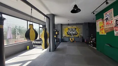 Kaplan Fight Academy (Atasehir KickBoks) görsel 2