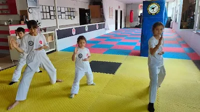 Karate /Aikido/Kickboks /Krav maga/Özel Maltepe Gençler Spor Kulübü - İstanbul Maltepe