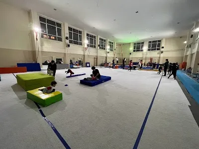 Kartal Cimnastik - İstanbul Kartal