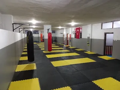 Kılıç Spor Kulübü-Kyokushın Karate görsel 2