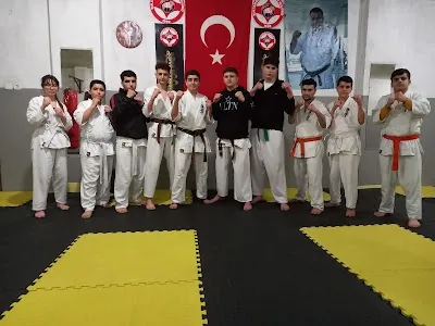 Kılıç Spor Kulübü-Kyokushın Karate görsel 3