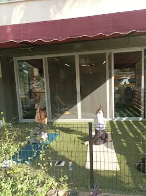 Kingfisher PT Studio görsel 3