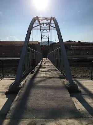 Kiraz Belediyesi - İzmir Kiraz