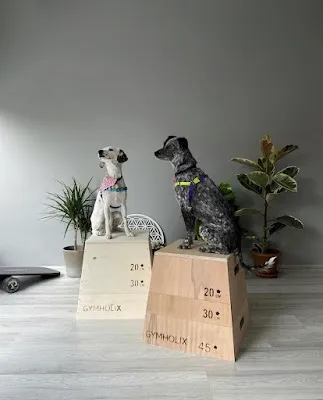 Line pilates studio - Ankara Çankaya