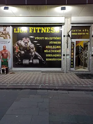 Lion fitness - İstanbul Küçükçekmece