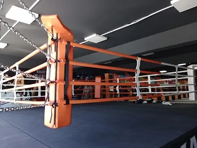 Lions Den Sport görsel 2