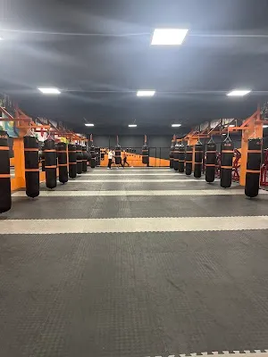 Lions Den Sport görsel 3