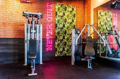 MAC Ormanada görsel 2