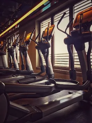 MAC Ormanada görsel 3