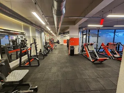 MCS Fitness - İstanbul Beylikdüzü