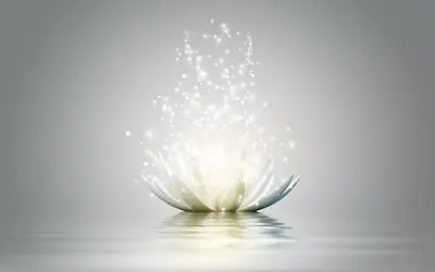 MenTuMa Kişisel Gelişim - İstanbul Ataşehir