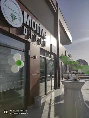 Motive Diyet ve Yaşam Merkezi - Ankara Etimesgut
