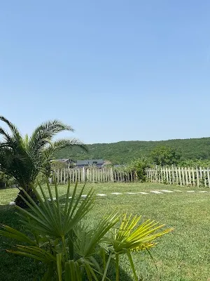 Mu Pilates görsel 2