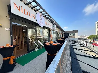 NİDUS PİLATES / TUZLA / EVORA görsel 2