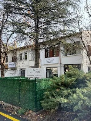 Nora Pilates görsel 3