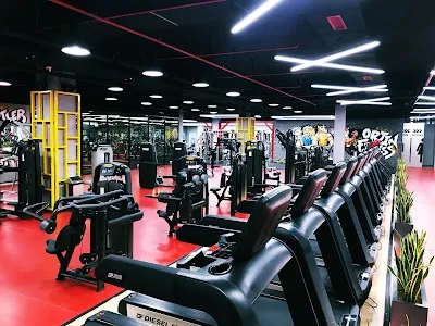 Orjin Fitness - İstanbul Beylikdüzü