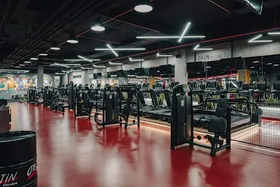 Orjin Fitness - İstanbul Beylikdüzü