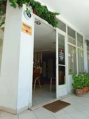 Pendik Demirel Spor Kulübü görsel 2