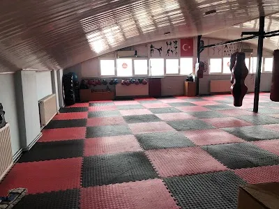 Pendik Güzelyalı Youth and Sports Club Association görsel 2