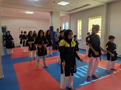 SAYOKAN ALTIN AKADEMİ ALPLIK OKULU görsel 2