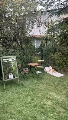 Seed Yoga Studio Ankara - Ankara Çankaya