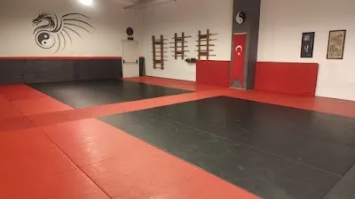 Senjutsu Dojo Savunma Sanatları Akademisi - İstanbul Beylikdüzü