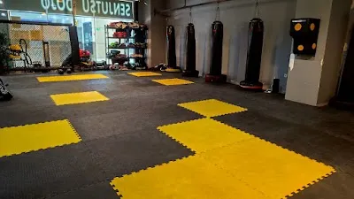 Senjutsu Dojo Savunma Sanatları Akademisi - İstanbul Beylikdüzü