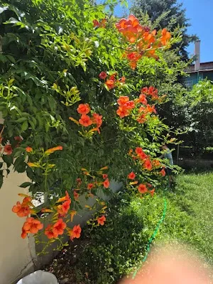 Sevgi YILMAZ Coaching Yaşam Merkezi | Yaşam Koçluğu Ankara - Ankara Çankaya