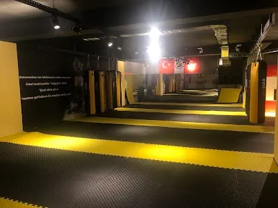 Simya Spor Kulübü - Kick Boks, Reformer, Aletli Pilates, Zumba Kursları görsel 3