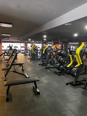 SPORTX Spor Salonu ÇUBUK görsel 2