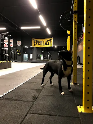 Strike Sports İstanbul - İstanbul Ataşehir