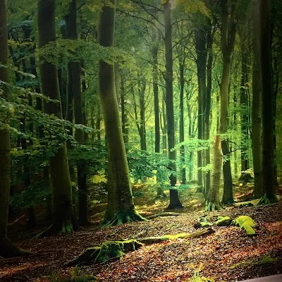 Studio Home 88 - Ankara Keçiören