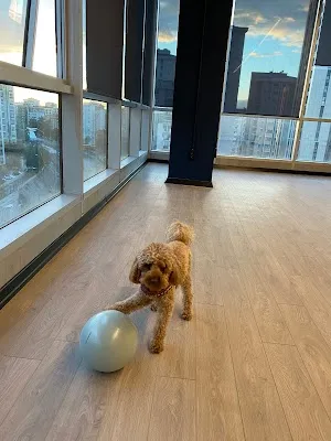 The Muses Pilates Studio - İstanbul Kadıköy