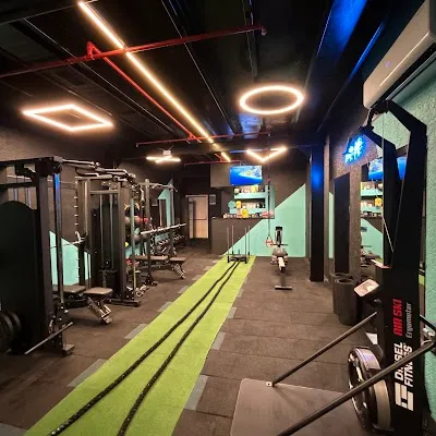 The Wolf Gym & Studio - İstanbul Bakırköy