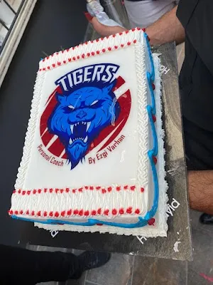 Tigers Arena görsel 3