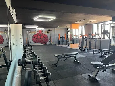 Torkline Spor Kulübü - Kocaeli Gebze