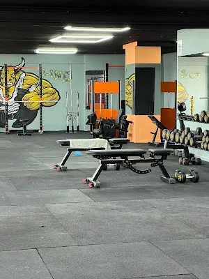 Torkline Spor Kulübü görsel 2