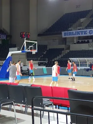 Turkiye Basketbol Federasyonu görsel 2