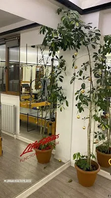 Urban Health Pilates - İstanbul Şişli