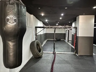 Valhalla Fight Academy - Ankara Yenimahalle