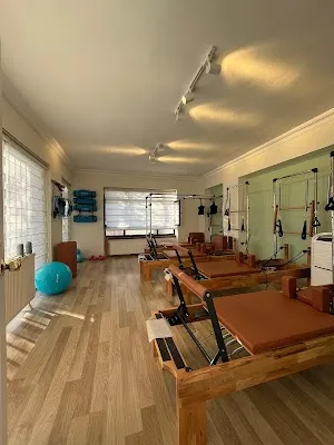 Via Fizyo Ankara Dikmen - Reformer Pilates - Hamile Pilatesi - Fizyoterapist Eşliğinde Klinik Pilates - Ankara Çankaya