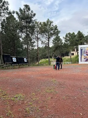 wild Academy - İstanbul Beşiktaş