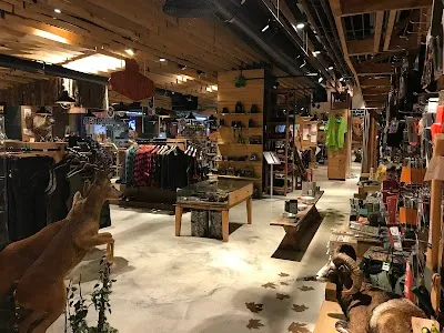 wild Academy - İstanbul Beşiktaş