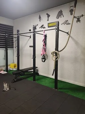 Wod Studio görsel 2