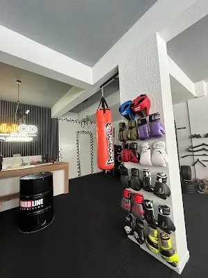 Wod Studio görsel 3