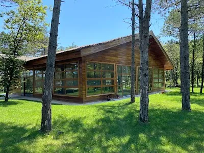 Woodbox İstanbul görsel 2