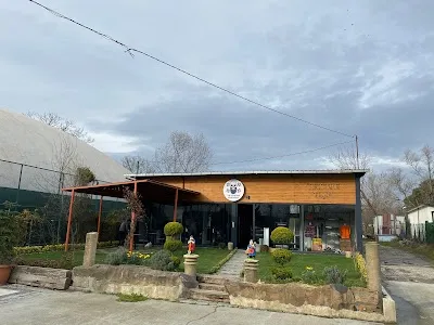 YG FITNESS & NO23 BASKEBALL ACADEMY - İstanbul Eyüpsultan