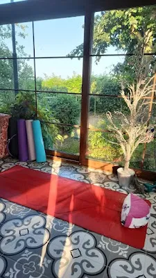 Yogini Fakiha görsel 2